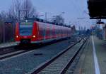 Abendstimmung mit 425 118-7 als RB 44 nach Mannheim Friedrichsfeld im Guntersblum am Sonntag den 19.1.2014