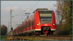 Der Abendsonne entgegen rauscht die Rhein Niers Bahn (RB33) in Richtung Geilenkirchen.Hier zu sehen unweit von Süggerath auf der Kbs 485 am 28.03.14.