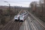 Zwei Süwex-Triebwagen begegnen sich an der Abzweigestelle Kostheim bei Mainz.