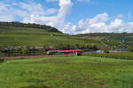 Auf dem Weg von Trier Hbf. nach Perl fuhr 442 004 am 17.9.2017 als RB12158 durchs Moseltal. Wie hier, kurz vor Wincheringen bildet die Mosel an weiten Teilen der Strecke auch die Grenze zu Luxemburg. 