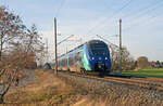 1442 308 war am 17.12.23 unterwegs von Leipzig-Stötteritz nach Falkenberg(E). Hier rollt der Talent durch Wittenberg-Labetz.