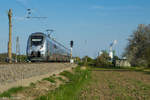 9442 810 als RB nach Halle fährt als Umleiter an den Buna Werken vorbei und lässt auch gleich Holleben hinter sich, 30.4.17