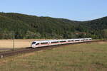 403 001  Freiburg im Breisgau  am 7. August 20222 bei Harrbach am Main.