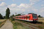 DB Regio 423 393 (Nachschuss) + 423 448 (führend) // Steinbach (Taunus) // 22. Juli 2014
