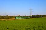 DB S-Bahn Rhein Main 423 391-2 am 26.09.23 auf der RB11 zwischen Frankfurt Höchst und Bad Soden als Aushilfe