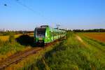 DB S-Bahn Rhein Main 423 391-2 am 26.09.23 auf der RB11 zwischen Frankfurt Höchst und Bad Soden als Aushilfe