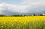 Am Samstag , dem 14.05.16 war nun wirklich nicht mit Sonnenschein zu rechnen. 
Umso mehr freute es mich, daß der Dauerregen mal eine Pause einlegte, die Sonne für zwei Stunden zum Vorschein kam und diesen bezaubernden Himmel hervorbrachte.

Eine 423-Zweifach-Traktion verließ den Haltepunkt Poing und machte sich weiter auf in Richtung München.