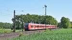 DB Regio (S-Bahn Hannover) 424 032/532  Bad Pyrmont  und 425 272/772  Sehnde  als S 2 Hannover-Linden/Fischerhof - Nienburg befinden sich am 07.05.18 kurz vor der Einfahrt in den Bahnhof Linsburg.