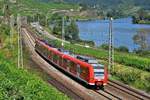 DB Regio 425 136/636 als RB 81  Moseltalbahn  Koblenz Hbf - Cochem/Mosel (Winningen/Mosel, 17.08.12).