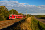 425 064 DB Regio als RB 58172 (Marktbreit - Würzburg Hbf) bei Winterhausen, 02.09.2020