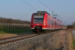 425 804-2 als RB 93 / 17732 von Lindau-Insel nach Friedrichshafen Stadt am 21.03.2022 zwischen Eriskirch und Friedrichshafen