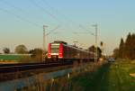 Gegen die Abendsonne ist der 425 102-1 nach Mönchengladbach Hbf unterwegs, vom Feldesrand sowohl vom Fotografen als auch von DB Sicherheit beobachtet.....
