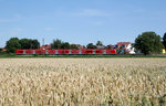 Seitliche Aufnahme eines 425ers der S-Bahn Rhein-Neckar in Heiligenstein (Pfalz).