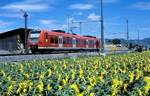 426 502  Wilchingen - Hallau  06.07.14