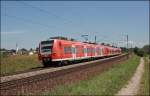426 029/529 und ein 425er legen sich bei Ostermnchen, als RB 30056 auf der Fahrt von Rosenheim nach Mnchen Hbf, in die Kurve. Mit dieser Regionalbahn wird die Verbindung zum Heimatwerk Mnchen-Steinhausen hergestellt. (10.07.2008)