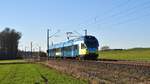 Alpha Trains Europa 427 114/614, vermietet an Keolis Deutschland -Eurobahn- (ET 8.06), noch in den Farben der Westfalenbahn, als RB 61 (20371)  Wiehengebirgs-Bahn  Hengelo - Bielefeld Hbf (bei Melle,