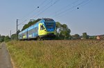 Alpha Trains Europa 427 113/613, vermietet an Westfalenbahn (ET 005), als RB 61 (90501)  Wiehengebirgs-Bahn  Bad Bentheim - Bielefeld Hbf (bei Melle, 15.09.16).