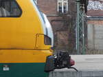 Detailaufnahme der Kupplung ET 445.103 der ODEG in Schwerin Hbf, 28.01.2017