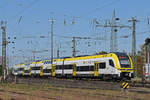 Siemens Desiro 1462 514-9 fährt beim badischen Bahnhof ein.