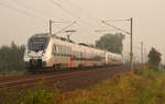 Von Magdeburg nach Leipzig war 1442 111 am 28.09.17 mit einem weiteren Hamster unterwegs. Bei Jeßnitz rollt das Duo durch den nebligen Morgen Richtung Bitterfeld.