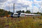 1442 678 und 1442 667 der S-Bahn Mitteldeutschland (MDSB II | DB Regio Südost) sind im Bahnhof Halle-Nietleben abgestellt.