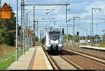 1442 306 (Bombardier Talent 2) der Elbe-Saale-Bahn (DB Regio Südost) als RE 16109 (RE13) von Magdeburg Hbf nach Leipzig Hbf erreicht den Bahnhof Rodleben auf der Bahnstrecke Trebnitz–Leipzig (KBS 254).
[10.8.2019 | 14:01 Uhr]