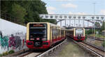 Keine Seltenheit - 

... ist die Begegnung zweier S-Bahn-Züge der Baureihe 483/484 auf der Berliner Ringbahn, hier am Ostkopf der Station Hermannstraße.
Wie auch im Norden der Stadt am Bahnhof Gesundbrunnen kann auch an der Hermannstraße in die Linie U8 umgestiegen werden.

14.07.2023 (M)

