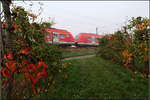 Nachlese Herbst 2019 -    S-Bahnzug der Linie S2 auf der Remsbahn bei Weinstadt-Endersbach.