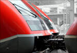 Doppelung -     Walfische im Bahnhof Waldshut.