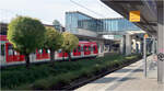 Etwas grün mit Bäumen zwischen den Gleisen.

S-bahnstation 'Donnersberger Brücke'in München. 

09.11.2022 (M)