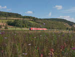 Der Herbst hatte am 23.09.2016 gerade begonnen und zeigte sich mit entsprechenden Blumen, als ein unbekannter 440 bei Karlstadt am Main in Richtung Gemünden unterwegs war.