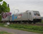 Noch eine Foto-Spielerei. Diesmal mit Railpool 185 672-3 der EVB. Aufgenommen am 03.05.2012 bei der Nordeinfahrt von Eschwege.