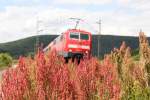 Kleine Fotospielerei: Fast Ton in Ton, die Natur und die 111. Aufgenommen am 10.07.2012 bei Harrbach.