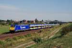 146 521 mit dem Interconnex X 80002 bei Zschortau (04.08.2007)