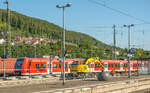 Bauarbeiten in Treuchtlingen am 9.8.22: 425 544 fuhr auf Gleis 7 nach Würzburg ab und im Nebengleis waren ein Zwei-Wege-Bagger und drei Arbeiter aktiv.