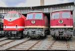 229 188-8 DB, 232 109-9 (132 109-0) der Leipziger Eisenbahnverkehrsgesellschaft mbH (LEG) und 754 101 (130 101-9) der Traditionsgemeinschaft Bw Halle P e.V. stehen anlässlich des Sommerfests unter dem Motto  Diesellokomotiven der ehemaligen DR  vor dem Ringlokschuppen des DB Musems Halle (Saale).
[25.8.2018 | 12:22 Uhr]