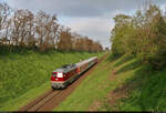 232 088-5 (132 088-6) als Hochzeits-Charterfahrt auf dem Heimweg nach Aschersleben, unmittelbar vor der Einfahrt in den Bahnhof Sandersleben(Anh) auf Höhe der Brücke Eislebener Straße.