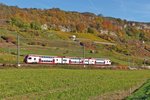 . Am Grutenhuschen - An der Bahnstrecke zwischen Wasserbillig und Igel in der Nhe des kleinen Ortes Liersberg prangt ein berbleibsel aus der Rmerzeit in den Weinbergen. Es handelt sich um das Grutenhuschen, welches als Kulisse diente fr den CFL KISS Z 2301, der dort am 31.10.2016 vorbeifuhr. Der Zug war als RE 5117 Luxembourg - Trier Hbf unterwegs. (Jeanny)