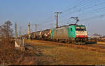 186 243-2 (91 51 5270 001-8 PL-TM) hat etliche Kessel- und Silowagen im Schlepp und rollt mit ihnen über die Leipziger Chaussee (B 6) in Halle (Saale) Richtung Abzweig Thüringer Bahn.

🧰 Alpha Trains Luxembourg No.2 S.à r.l., vermietet an Transchem Sp. z o.o.
🕓 8.3.2024 | 16:33 Uhr