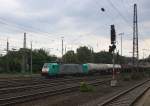 Die Cobra 2831  kommt aus Richtung Köln,Aachen-Hbf,Aachen-Schanz mit einem langen Kesselzug aus Ludwigshafen-BASF nach Antwerpen-BASF(B) und fährt in Aachen-West ein.