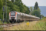 159 010-8 (Stadler Eurodual) hat die mit Kies beladenen Schüttgutwagen auf das Ausziehgleis des Anschlusses in Quedlinburg geschoben und wartet nun auf Ausfahrt Richtung Halberstadt (Gleis im Vordergrund).

🧰 Havelländische Eisenbahn AG (HVLE)
🚩 Bahnstrecke Magdeburg–Thale (KBS 315)
🕓 25.8.2021 | 11:48 Uhr