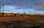 Kesselzug nach Halle-Nietleben    Blick vom Zaun zum Zug in voller Länge, abgestellt von 143 020-6 und 143 841-5 im Bahnhof Halle-Nietleben.