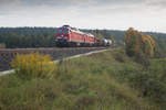 233 662 mit einem Güterzug Richtung Hof Hbf bei Marktleuthen, 29.09.2017