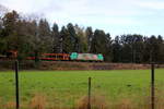 Ein Blick auf die Cobra 2839 kommt die Gemmenicher-Rampe herunter nach Aachen-West mit einem Güterzug aus Antwerpen-Noord(B) nach Köln-Gremberg(D). 
Aufgenommen an der Montzenroute am Gemmenicher-Weg. 
Bei Sonne und Regenwolken am Morgen vom 7.3.2019.