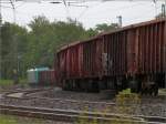 In kurvenreicher Fahrt unterwegs auf der KBS 480 ist dieser Gterzug. Als Zugpferd 
die belgische Cobra (E-186). Auch Nachsche knnen ein interessantes Motiv
bewirken. Location:Eschweiler/Juni 2012.