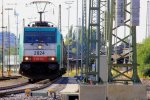 Die Cobra 2824 fhrt mit einem Kurzen Coilzug aus Linz-Voestalpine(A) nach Genk-Goederen(B) bei der Ausfahrt aus Aachen-West und fhrt in Richtung Montzen/Belgien bei Sommerwetter am 17.8.2013.