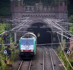 Die Cobra 2819 kommt aus dem Gemmenicher-Tunnel raus mit zwei Güterwagen aus  Kinkempois(B) nach Pirna(D) und fährt nach Aachen-West und rollt die Gemmenicher-Rampe herunter nach Aachen-West. Aufgenommen in Reinartzkehl auf der Montzenroute. 
Bei Sommerwetter am Nachmittag vom 18.8.2016.