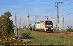 159 228-6 (Stadler Eurodual) mit Verbio-Schriftzug und Kesselwagen unterwegs oberhalb der Leipziger Chaussee (B 6) Richtung Abzweig Halle Thüringer Bahn.

🧰 Rail Care and Management GmbH (RCM)/European Loc Pool AG (ELP), vermietet an die Leipziger Eisenbahnverkehrsgesellschaft mbH (LEG)
🕓 26.9.2023 | 16:47 Uhr