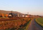 182 510 der TXLogistik mit einem KLV-Zug im Landkreis Alfeld bei Dehnsen fotografiert am 11.10.2018  