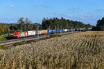 Neben einigen Loks der Baureihe 193 wirbt auch die 185 205 für die  Energiesparolympiade  von DB Cargo.